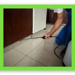 Pest Control Highfields - photo 2