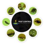 Pest Control Alderley - photo 1