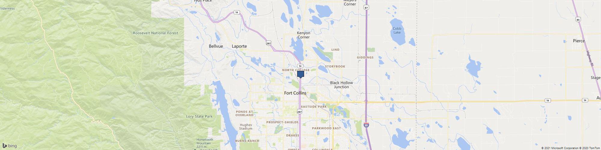 Dynamic Customs cover photo