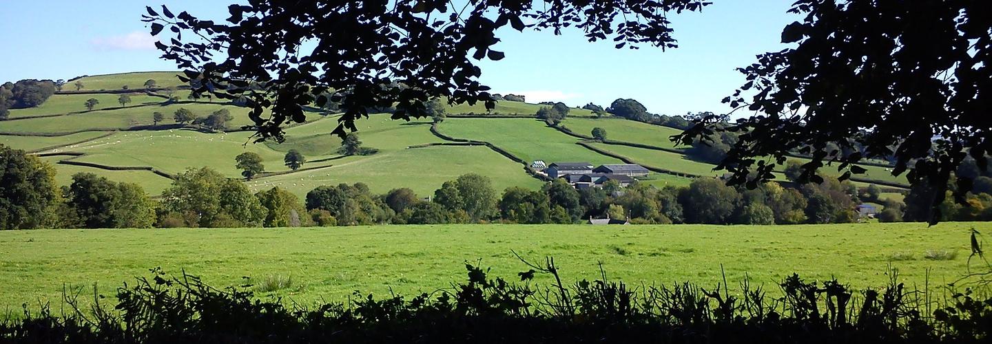 Green Valley Pest Control cover photo