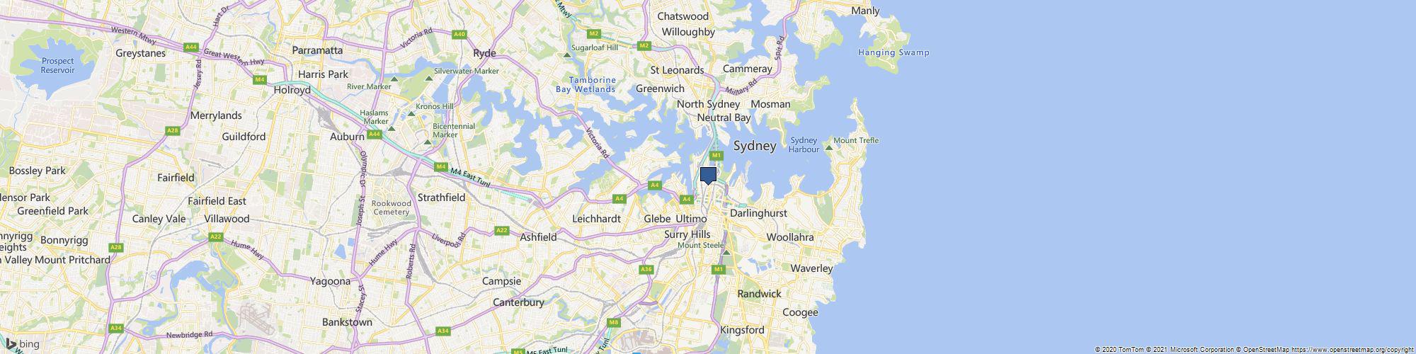 Happy Little Succulents cover photo