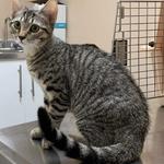 World of Animals, Inc. at Rittenhouse - photo 7