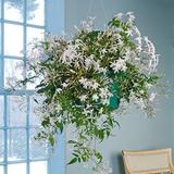 Plantcare Specialist - Home & Garden in Wilton Manors