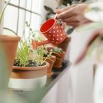 Plantcare Specialist - photo 1