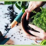 Plantcare Specialist - photo 4