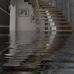 PureOne Services-LA - photo 4