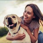 No Worries Pet & Farm Sitting - photo 6