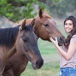 No Worries Pet & Farm Sitting - photo 7