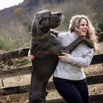 No Worries Pet & Farm Sitting - photo 10