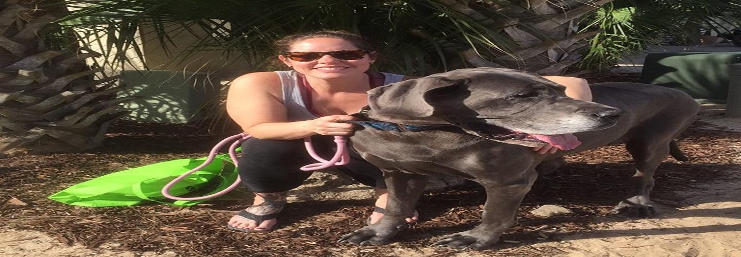 No Worries Pet & Farm Sitting cover photo