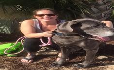 No Worries Pet & Farm Sitting - Pet Stores