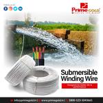 Prime Gold - photo 6