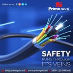 Prime Gold - photo 9