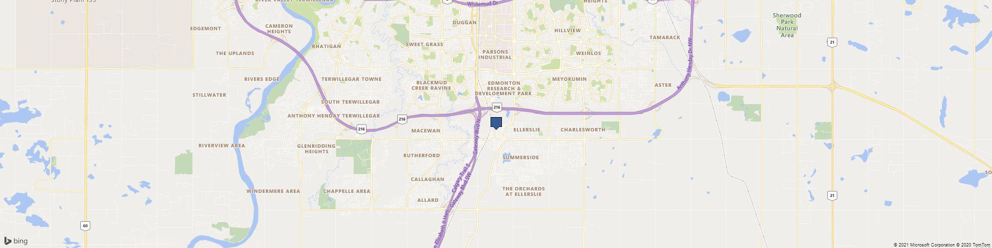 Black Gold Tattoo Co cover photo