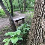 Ninja Golf - photo 1