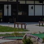 Ninja Golf - photo 2