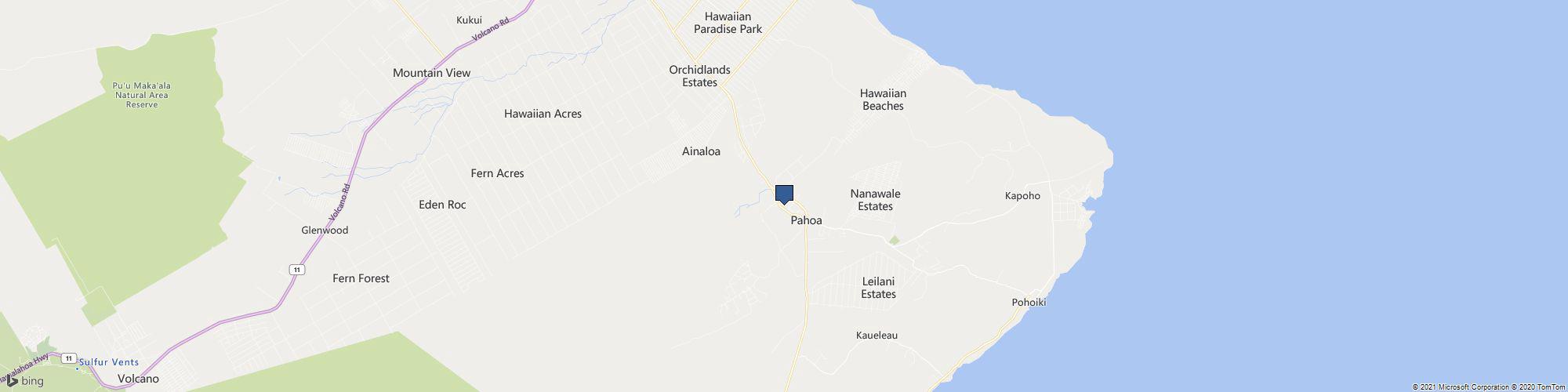 Fire Ant Assassins cover photo