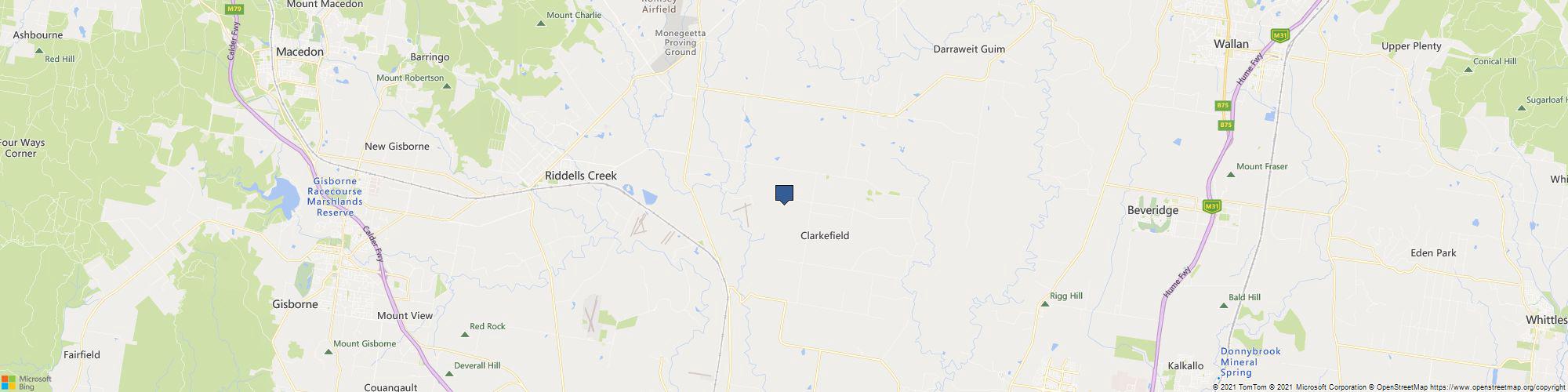 Palm Tree Removal Melbourne cover photo