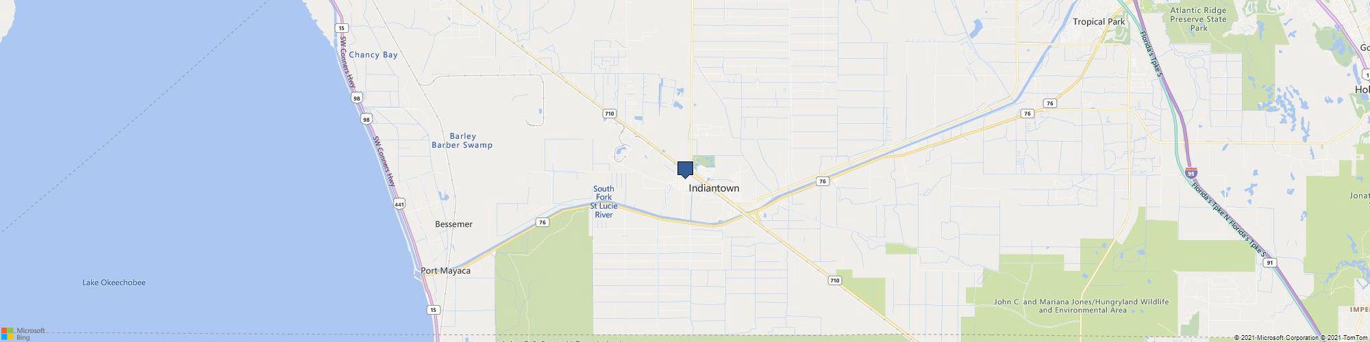 IMA Landscaping Tree Palm Trimming Services cover photo