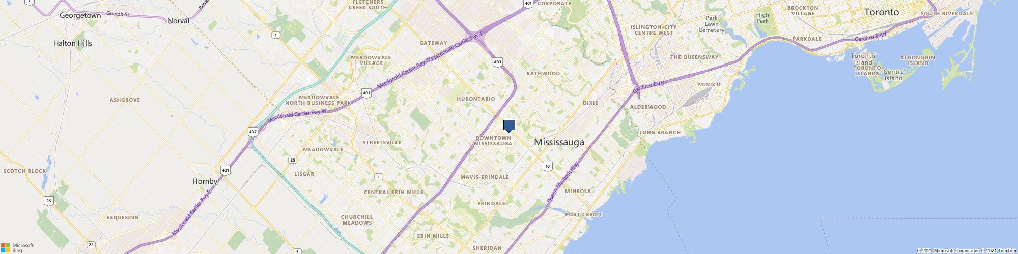 The Real Tree Masters Inc. cover photo