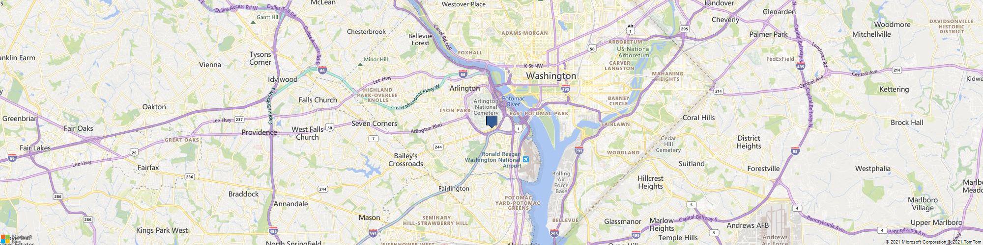 Melon Patches cover photo