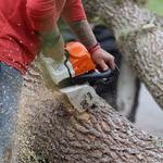 Suburban Tree Service - photo 4