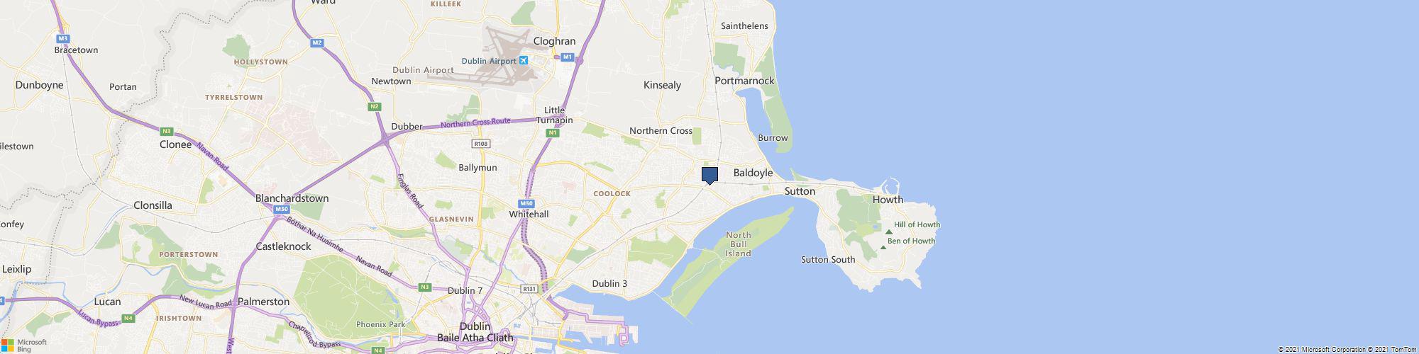  New Moon Blooms cover photo