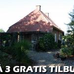 3 gratis tilbud - photo 1