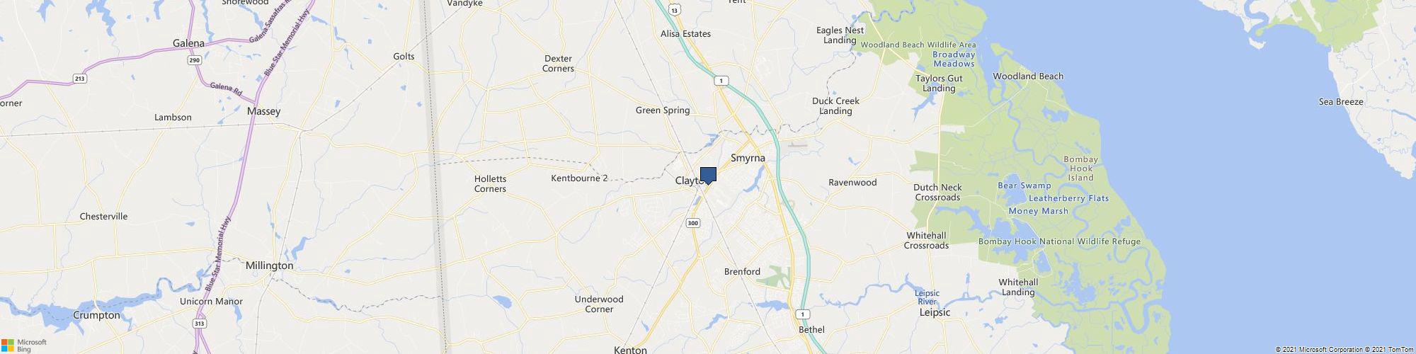 Taste Of New York Smyrna cover photo