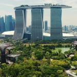 Cruise Planners and Travel - photo 4