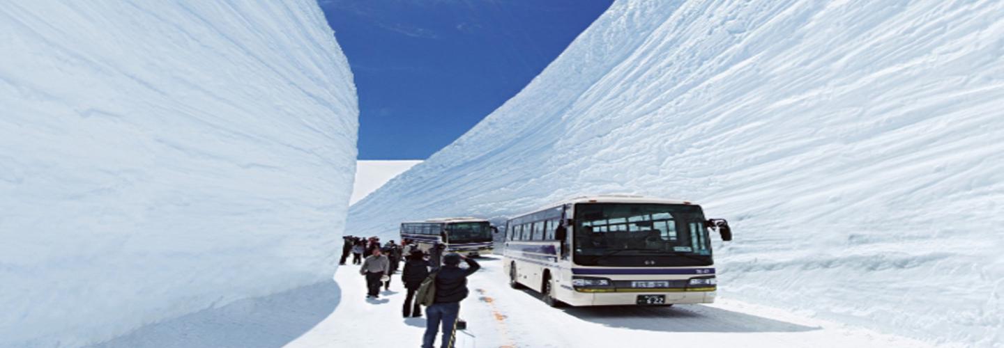 Toursnbus  cover photo