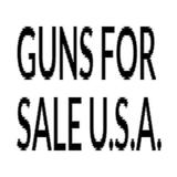 GFSUSA - Business Consulting in Dallas