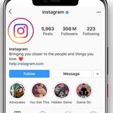 Instagram for sale - Software Development