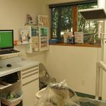 The Dentist Down the Lane - photo 6