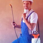 Pestico pest control Adelaide - photo 1