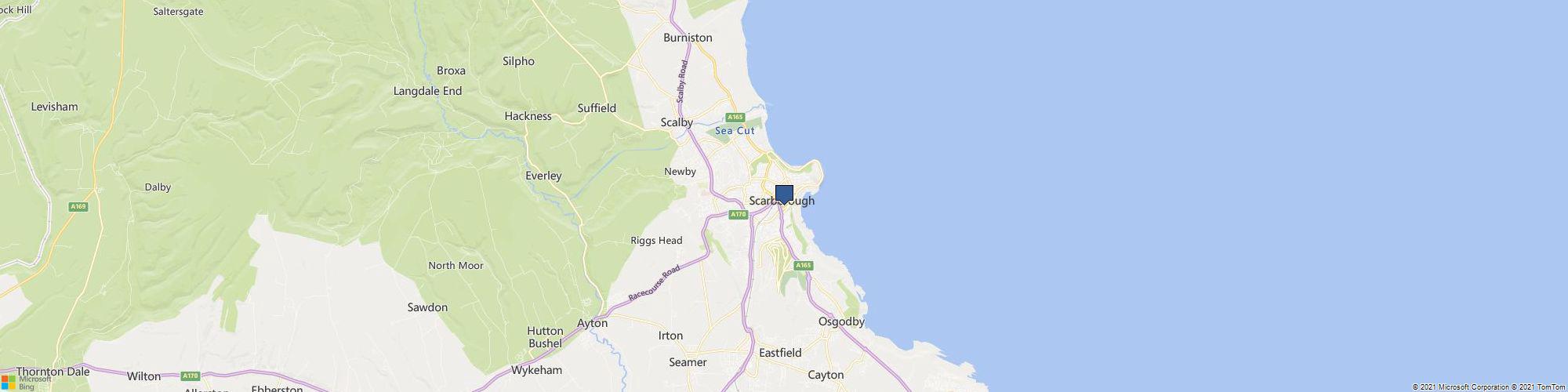 Your Free Bet cover photo