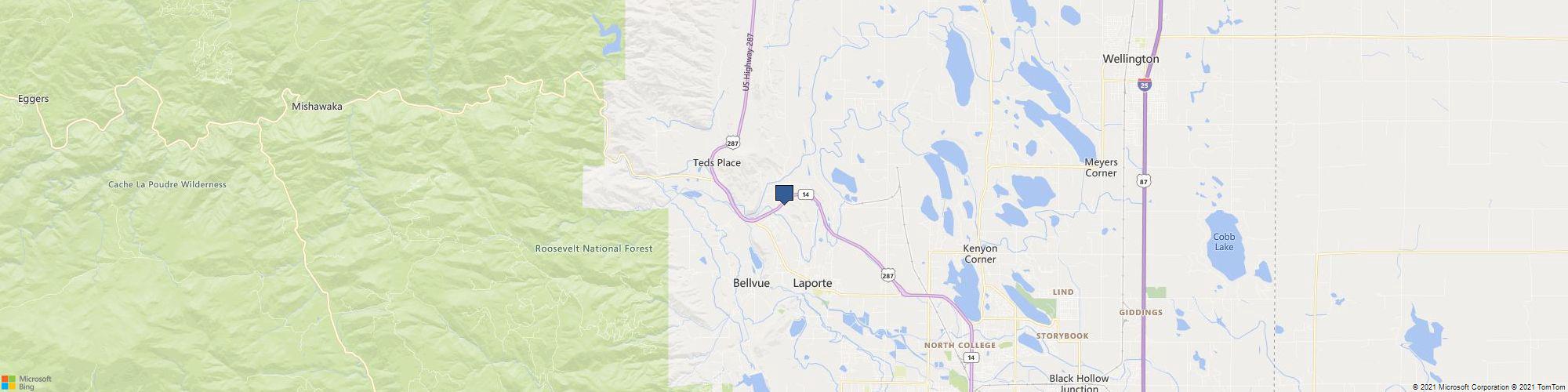 Motion Constrained cover photo