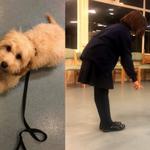 Els K9 Solutions - photo 2