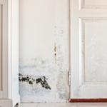 Durk's Farms Services  - photo 3