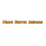 Miami Exotic Animals - Entertainment in Homestead