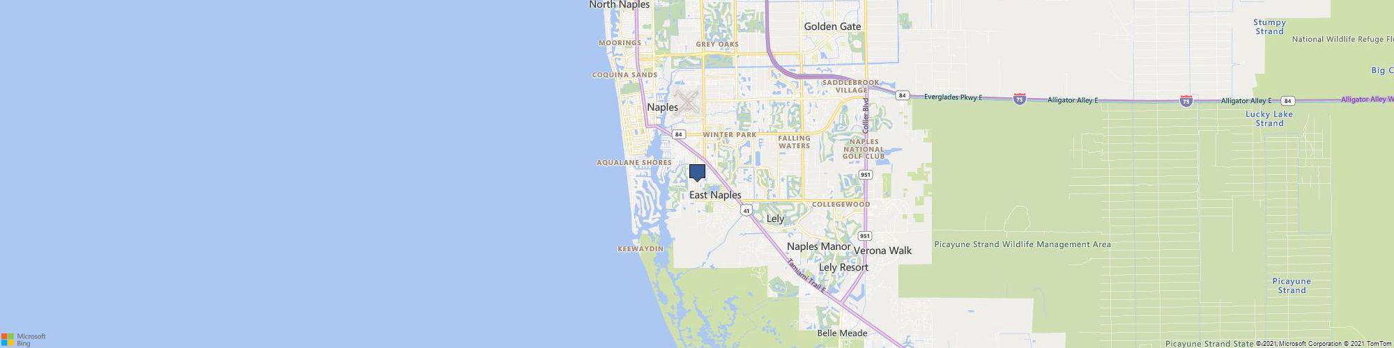 Electric Motion Golf Carts cover photo