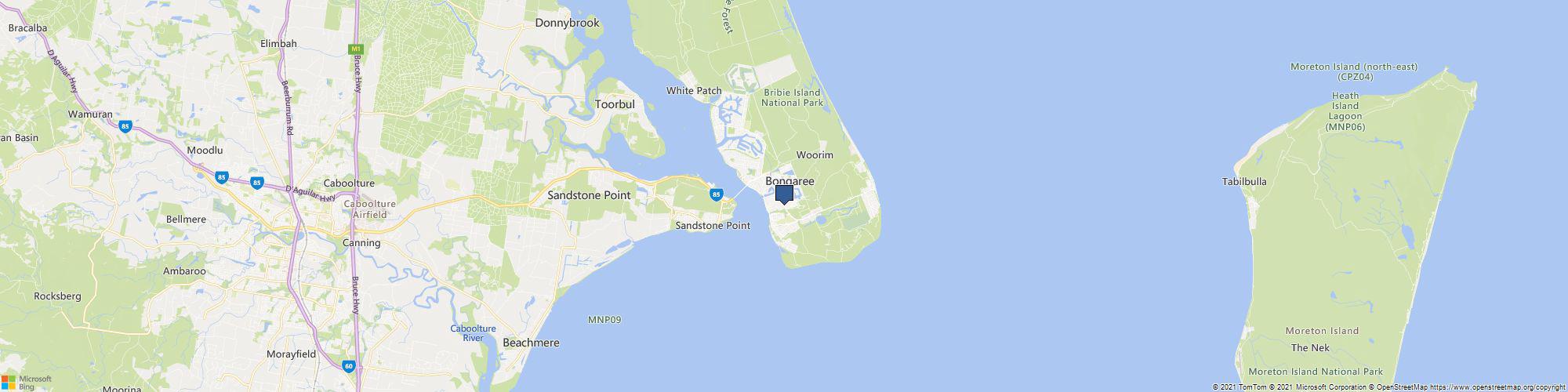 Pest Control Bongaree cover photo