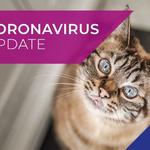 Maven Vets - photo 1