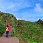 The Roaming Shoes - photo 3