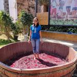 The Roaming Shoes - photo 7