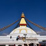 The Roaming Shoes - photo 8