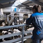 Fullwood Packo - photo 1