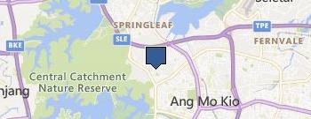 Healthy T Pte Ltd location map