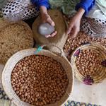 Arganöl D&A Moroccan Gold - photo 3