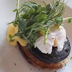 Tangerine Hotels - photo 7